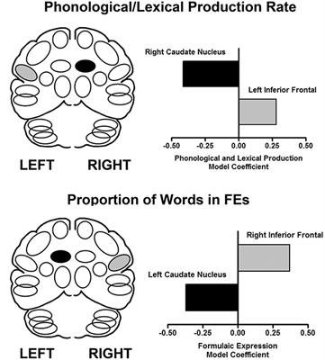 The Affective Nature of Formulaic Language: A Right-Hemisphere Subcortical Process